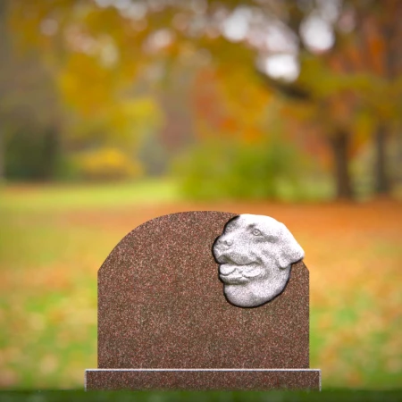 1462 - Brown Granite Dog Memorial Headstone with Carved Dog Portrait - 2